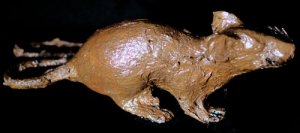 Mummified Rat Halloween Prop