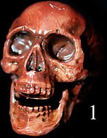 Mini Corpse Skull Halloween Horror Prop