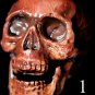 Mini Corpse Skull Halloween Horror Prop