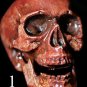 Mini Corpse Skull Halloween Horror Prop