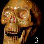 Mini Corpse Skull Halloween Horror Prop