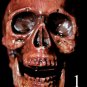 Mini Corpse Skull Halloween Horror Prop