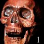 Mini Corpse Skull Halloween Horror Prop