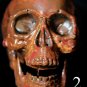 Mini Corpse Skull Halloween Horror Prop