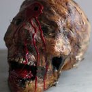 Bloody Corpsehead Halloween Prop 6 *severed head*