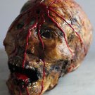 Bloody Corpsehead Halloween Prop 3 *severed head*