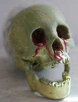 Life Size Fester Corpse Head Halloween Prop #3 With Dripping Blood