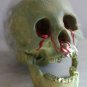 Life Size Fester Corpse Head Halloween Prop #3 With Dripping Blood