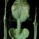 Wicked Witch Corpse Halloween Torso Prop