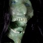 Wicked Witch Corpse Halloween Torso Prop