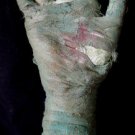 Aged Mummy Hand Halloween Prop #7