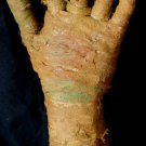 Aged Mummy Hand Halloween Prop #5