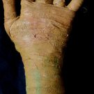 Aged Mummy Hand Halloween Prop #2