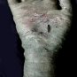 Aged Mummy Hand Halloween Prop #1
