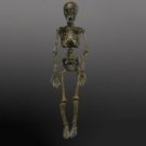 Corpsed Barney Skeleton