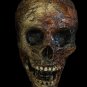 Corpsed Barney Skeleton