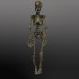 Corpsed Barney Skeleton