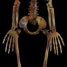 Economy Eddie Skeleton