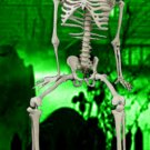 Bucky Skeleton Jr. Halloween Prop 4 Feet Tall