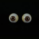 Pair of Brown Eyeballs Great for skeleton props!