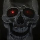 Full Size Skull Door Decoration Halloween Prop