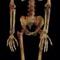 Life-Size Bargain Basement Barney Skeleton 5' tall