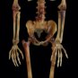 Life-Size Bargain Basement Barney Skeleton 5' tall