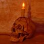 Haunted Halloween Skull Light