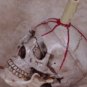 Haunted Halloween Skull Light