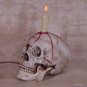 Haunted Halloween Skull Light