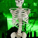 Bucky Torso Without Arms (4th Quality)