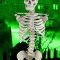 Bucky Torso Without Arms (4th Quality)