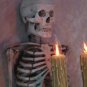 Haunted Halloween Skeleton Torso Wall Light