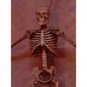 Haunted Halloween Skeleton Wall Light