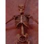 Haunted Halloween Skeleton Wall Light