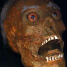 Corpse Head Halloween Prop #4