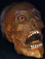 Corpse Head Halloween Prop #4