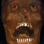 Corpse Head Halloween Prop #4