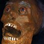 Corpse Head Halloween Prop #4
