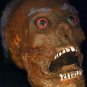 Corpse Head Halloween Prop #4