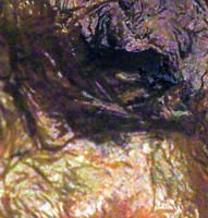 Corpse Head Halloween Prop #9