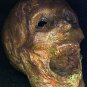 Corpse Head Halloween Prop #9