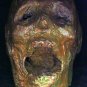 Corpse Head Halloween Prop #9