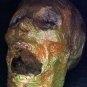 Corpse Head Halloween Prop #9