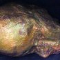 Corpse Head Halloween Prop #9