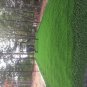 Baseball netting #36 Pro frame hardware 12x14x60 ft. PICK UP Best QUALITY NEW