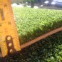 Golf turf mat with back pad 5 mil hitting mat new special size 6 x 12 ft. best