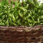 Grass artificial turf new great quality 5 ft. by 10 ft. indoor outdoor turf