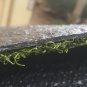 Putting Green type 5x4 ft. Grass artificial turf new great quality NO PADDING
