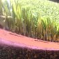 3 x 3 ft. turf mat with back pad 5 mil hitting mat plain turf great deal quality